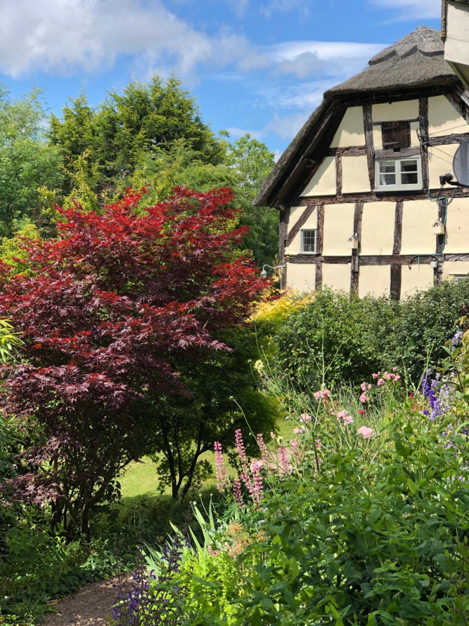The Steppes Holiday Cottages Hereford Esterno foto